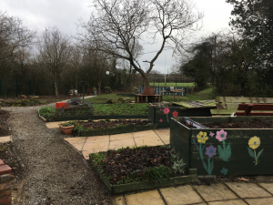 Planters in the community garden at Prenton Rugby Club