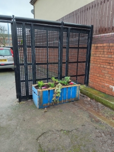 A planter for an alleyway in Seacombe