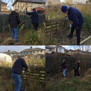 Getting busy pruning at the Elemental Project with Bee Wirral