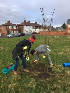 Tree planting at Ilchester Park