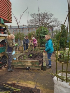 Taking the willow weaving into the garden at Falkland Road