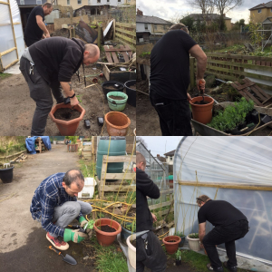 Bee Wirral Elemental Project members potting up strawberry and pea plants for sale