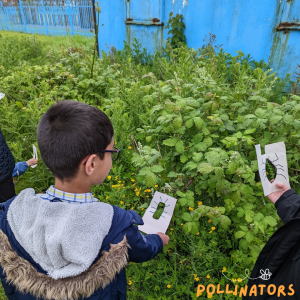Trying out the Pollinator Passports with Wirral Unplugged