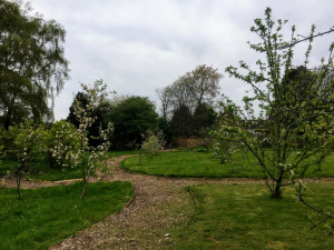 Winding paths around the orchard