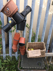 Scarecrow at St James Community Garden, with the last of the apples