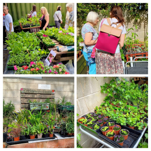 The plant sale at the Spring Fair