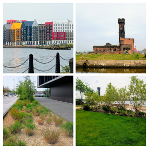 Wirral Waters. Photos (clockwise from top right): Miller's Quay, Hydraulic Tower, a pocket park, planting and sustainable urban drainage near the Hythe building.