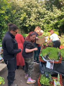 Teachers from Wirral's Eco Schools collecting plants to grow with their pupils