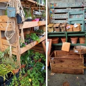 Plants for sale at the Christmas Fair, alongside wooden items made by the WEN Reclaimers.