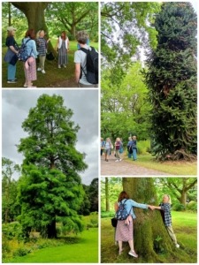 Tree appreciation, including estimating the age of a tree by measuring the circumference at chest height and doing a bit of maths!